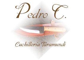 Logotipo de Pedro Conde Bermúdez